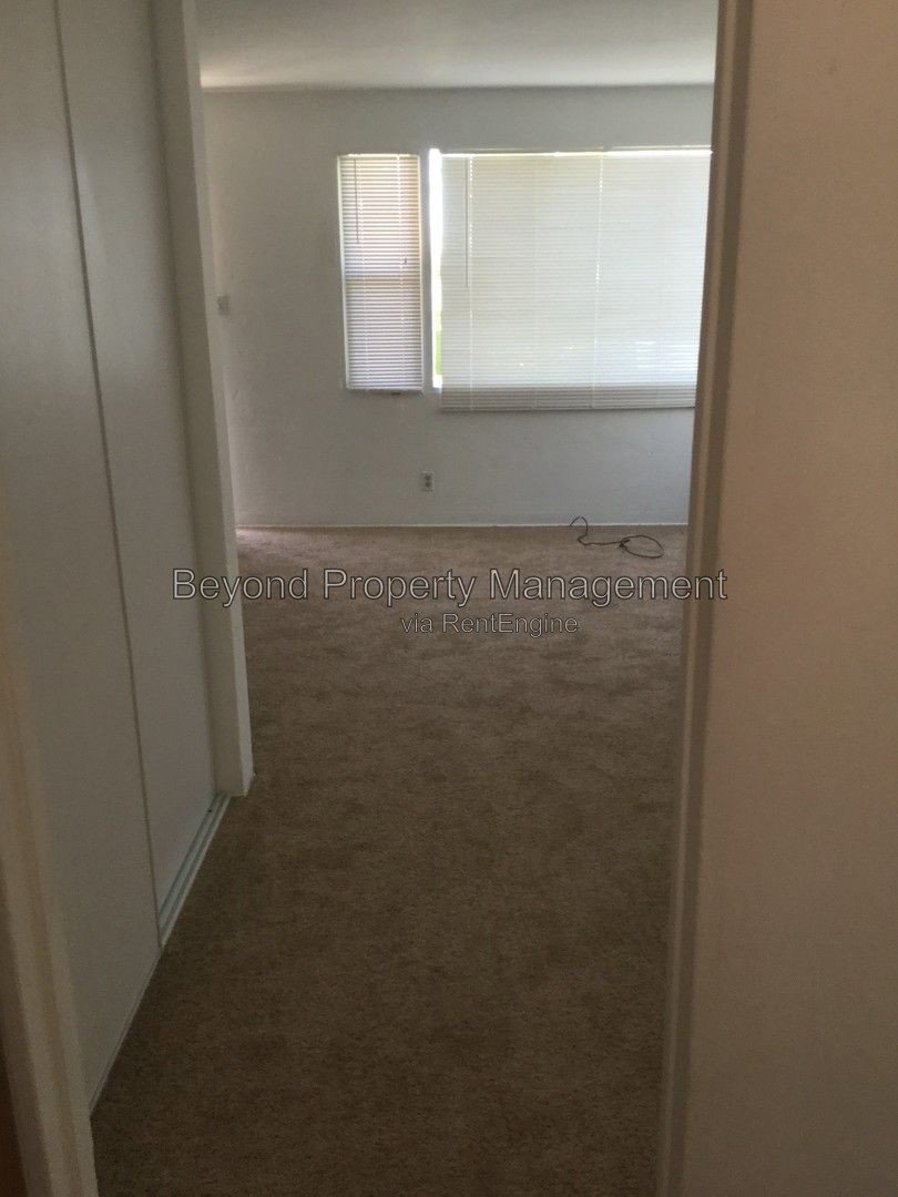 LIGHT & BRIGHT STUDIO UPGRADED, PET FRIENDLY!! *** property image