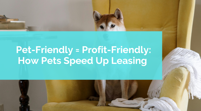 Property Management Blog